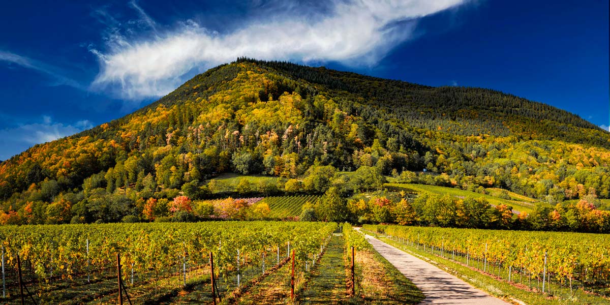 Herbstfarben